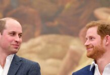 William and Harry: Princess Diana's legacy unites the brothers
