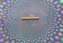 The best scientific images of 2021
