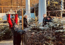 But that is … ?! German world star at the Christmas tree dealer – do you recognize him?
