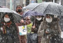 Heavy snowfall – warning in Tokyo