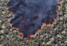 Eruption on the Galápagos Islands: Highest volcano "Wolf" spits ash and lava