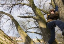 Child (4) falls from a tree: ambulance service brings it to the hospital