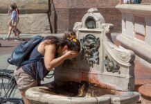 WMO: 2021 was one of seven warmest years
