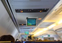 'He'll be so confused': stowaway causes chaos on plane
