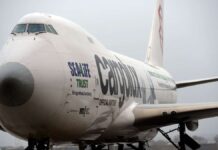 Stowaway survives multi-hour flight