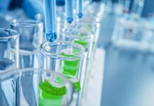 Cannabis could prevent COVID infection, according to a new study