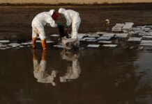 Oil slick pollutes sandy beach in Gulf of Thailand