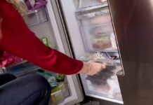 Instead of a new refrigerator: the job center recommends women to store food on the balcony