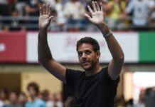 Juan Martín Del Potro retires at the age of 33 due to injuries