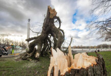 Next hurricane: Effects of storm "Zeynep" could be "even more severe".