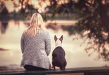 Why 1 year in dogs is not equal to 7 human years