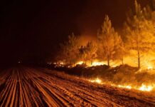 Argentina fires: governor asks US for help