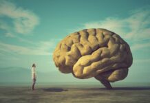 What happens in our brain when we die?