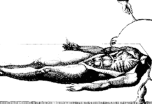 Who was the real Frankenstein?