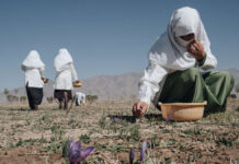 "We are proof that Afghanistan's women are very strong"