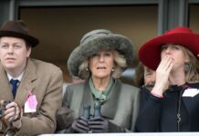 Duchess Camilla as Queen Consort: Do your children also get a title?