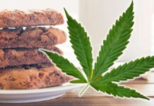 Accidentally ate hash cookies – whole post office 'really high' for a day
