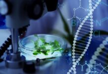 Can biotechnology solve environmental problems?