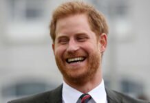 Prince Harry learns Dutch: Video makes people laugh online