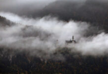Flame inferno in Tyrol: Heavy forest fire rages near Neuschwanstein Castle