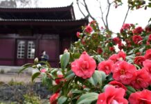 Temperatures up to 20 degrees expected