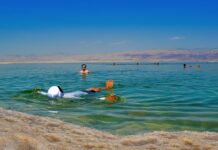 3 creatures that live in the Dead Sea