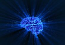 This is how the brain creates memories