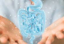 Why the state of the microbiota impacts our mind