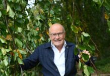 "The Forest Maker": Schlöndorff as documentary filmmaker