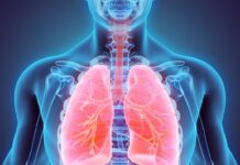 They discover a new part of the body hidden in the lungs