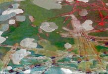 Arbor Day: "Nature is the greatest artist"