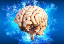 How much do you know about neuroscience?