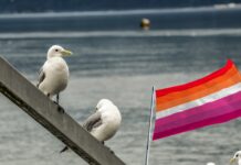 3 Animals That Show Lesbian Behaviors