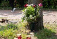 Killing of 35-year-old – planned separation as a motive?