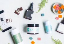 Are CBD products really useful? A scientific approach