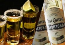 Is the little horse already more expensive? José Cuervo raises his prices to protect his income from inflation