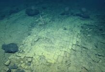 Is this the 'road to Atlantis'? They find a 'yellow brick road' in the depths of the Pacific