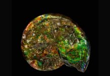 Observing minerals could transform the way we search for alien life