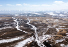 More than 900 species of microbes found in the glaciers of the Tibetan Plateau