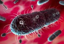 Viruses, bacteria and Darwin