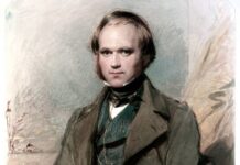 Young Darwin: this is how he embarked on the journey that would change biology