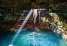 The cenote, a unique underground ecosystem