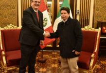 Mexico, Argentina, Ecuador and Bolivia support the president of Peru after the crisis