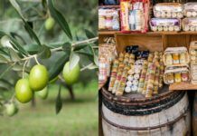 Why are there fewer olives in Spain and mustard in France?