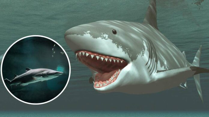 28235442-eine-computer-animation-eines-megalodons-und-daneben-ein-foto-von-einem-weissen-hai-vfe