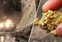 Guerrero is worth gold: this Canadian company triples the life of its mine in the state