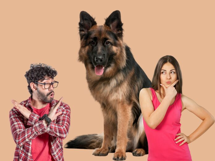 pareja-perro_