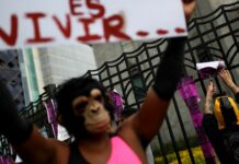 Poxy McPoxface or TRUMP-22, the WHO is preparing the new name for monkeypox