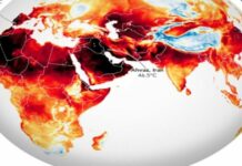 Fires around the world doubled, and these are the two countries most affected