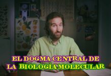 The Central Dogma of Molecular Biology